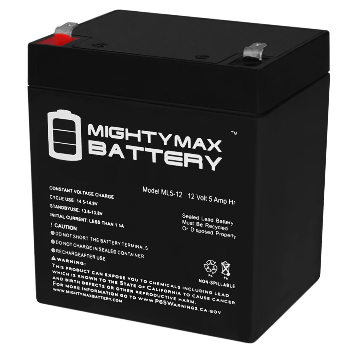 Mighty Max Battery 12V 5Ah SLA Battery Replacement for Black Decker 243215 MAX3932296