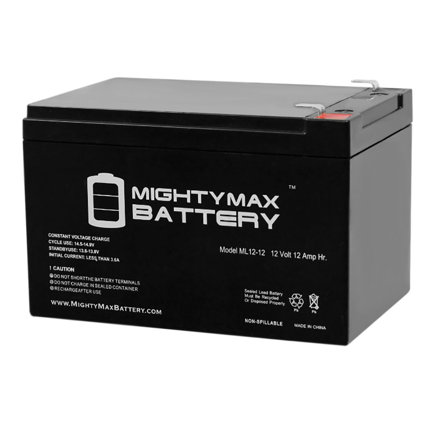 Mighty Max Battery 12V 12Ah F2 Kid Trax Rechargeable Replacement Battery