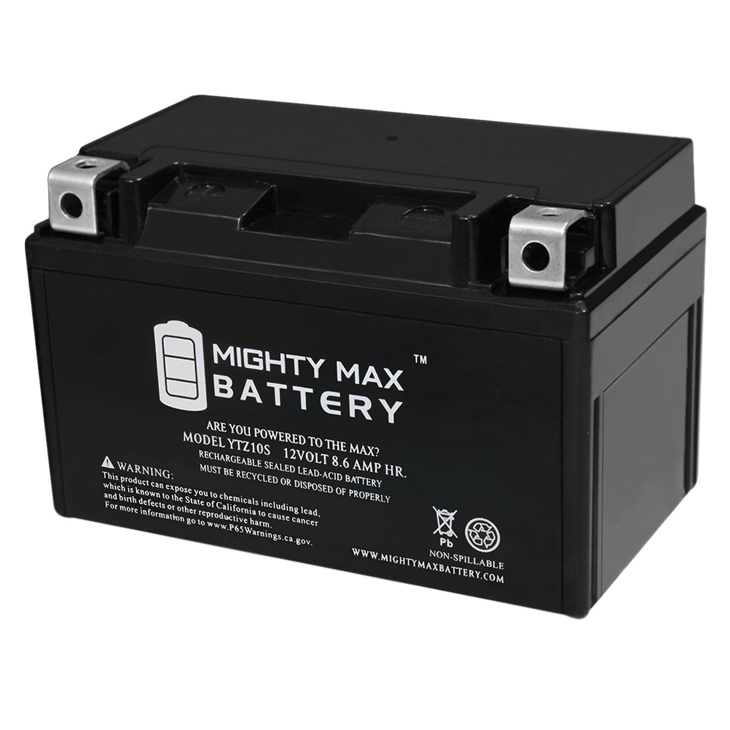 MIGHTY MAX BATTERY 12-Volt 8.6 Ah Replacement Battery for Yuasa