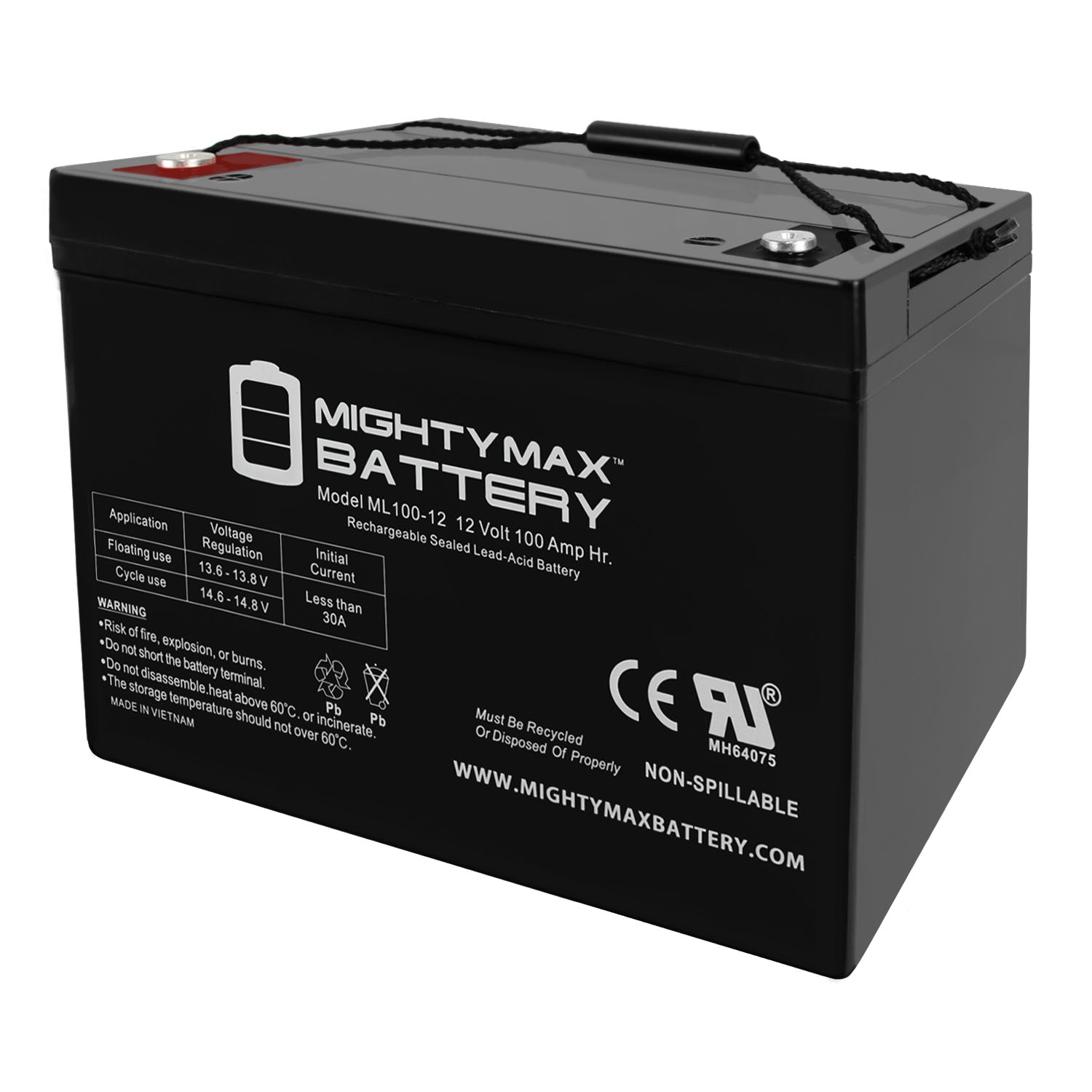 12V 100AH Deep Cycle Gel Battery Rechargeable for Solar, Wind, RV, Marine,  Camping, Wheelchair, Trolling Motor and Off Grid Applications