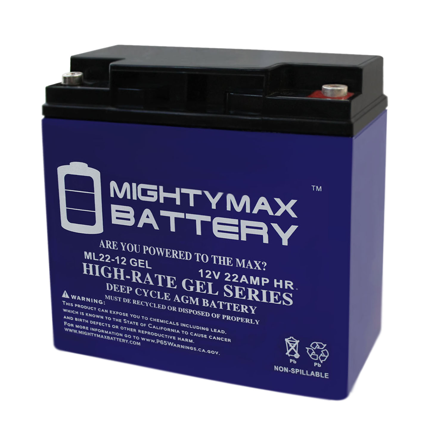 12V 22AH GEL Battery for Schumacher DSR ProSeries PSJ-2212 Booster -  MightyMaxBattery