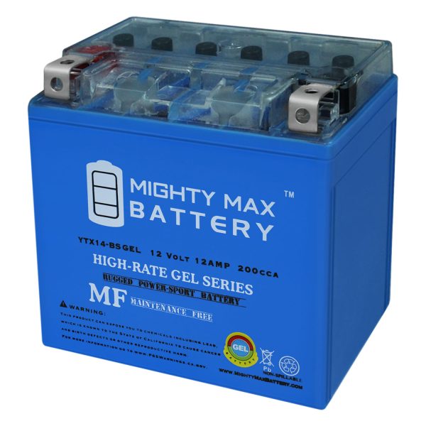 YTX14-BSGEL -12 Volt 12 AH, 200 CCA, Rechargeable Maintenance Free SLA AGM Motorcycle Battery