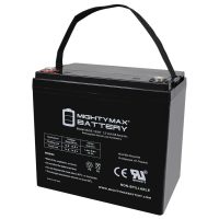 ML55-12INT -12 Volt 55 AH, Internal Thread (INT) Terminal, Rechargeable SLA AGM Battery