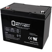 ML75-12INT -12 Volt 75 AH, Internal Thread (INT) Terminal, Rechargeable SLA AGM Battery