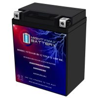 YTX14AH-BS - 12 Volt 12 AH, 210 CCA, Rechargeable Maintenance Free SLA AGM Motorcycle Battery